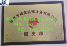 团支部证书